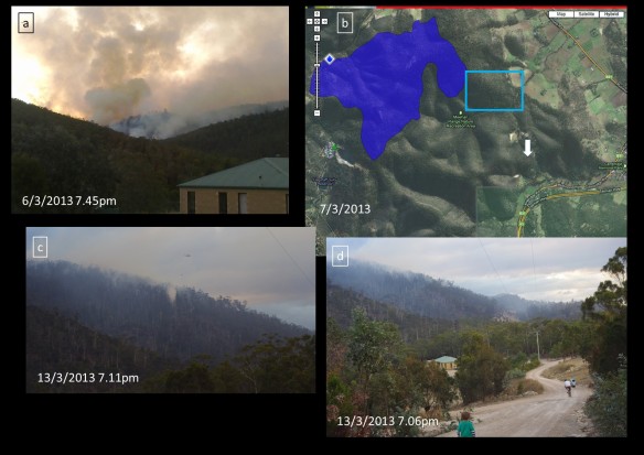 6th February - 13th February 2013. The fire reached Eagle Hill, situated 1500 m north of our property. A week after is started, it flared up again on the 13th February (images c and d) and three helicopters were sent to assist ground crews. 